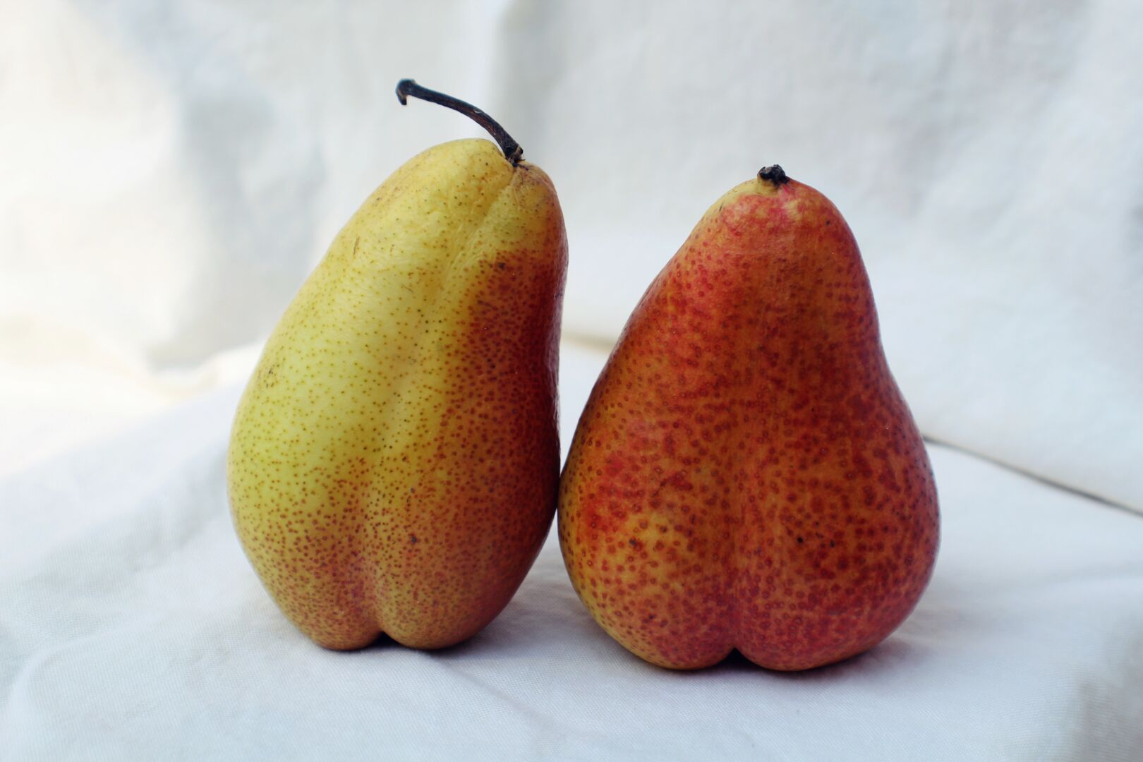Deux poires en forme de fesses