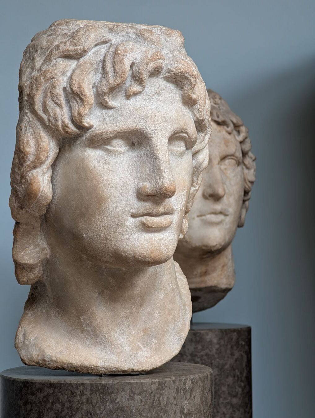 Deux portraits sculptés d'époque hellénistique représentants Alexandre le Grand.