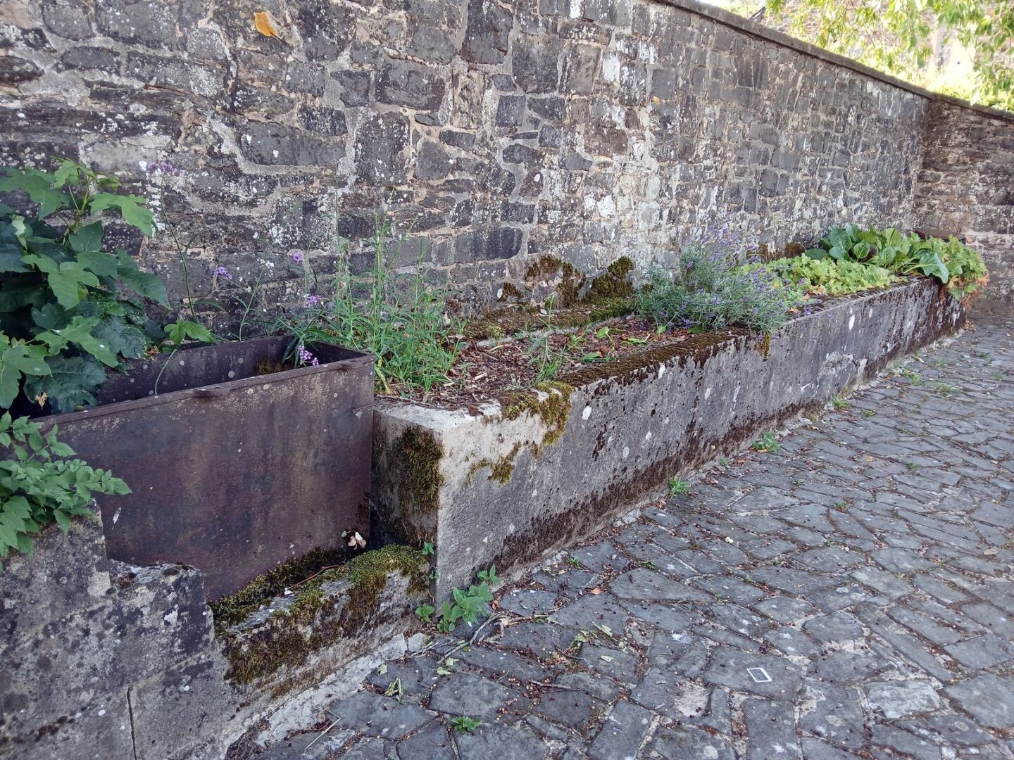 Ancien abreuvoir