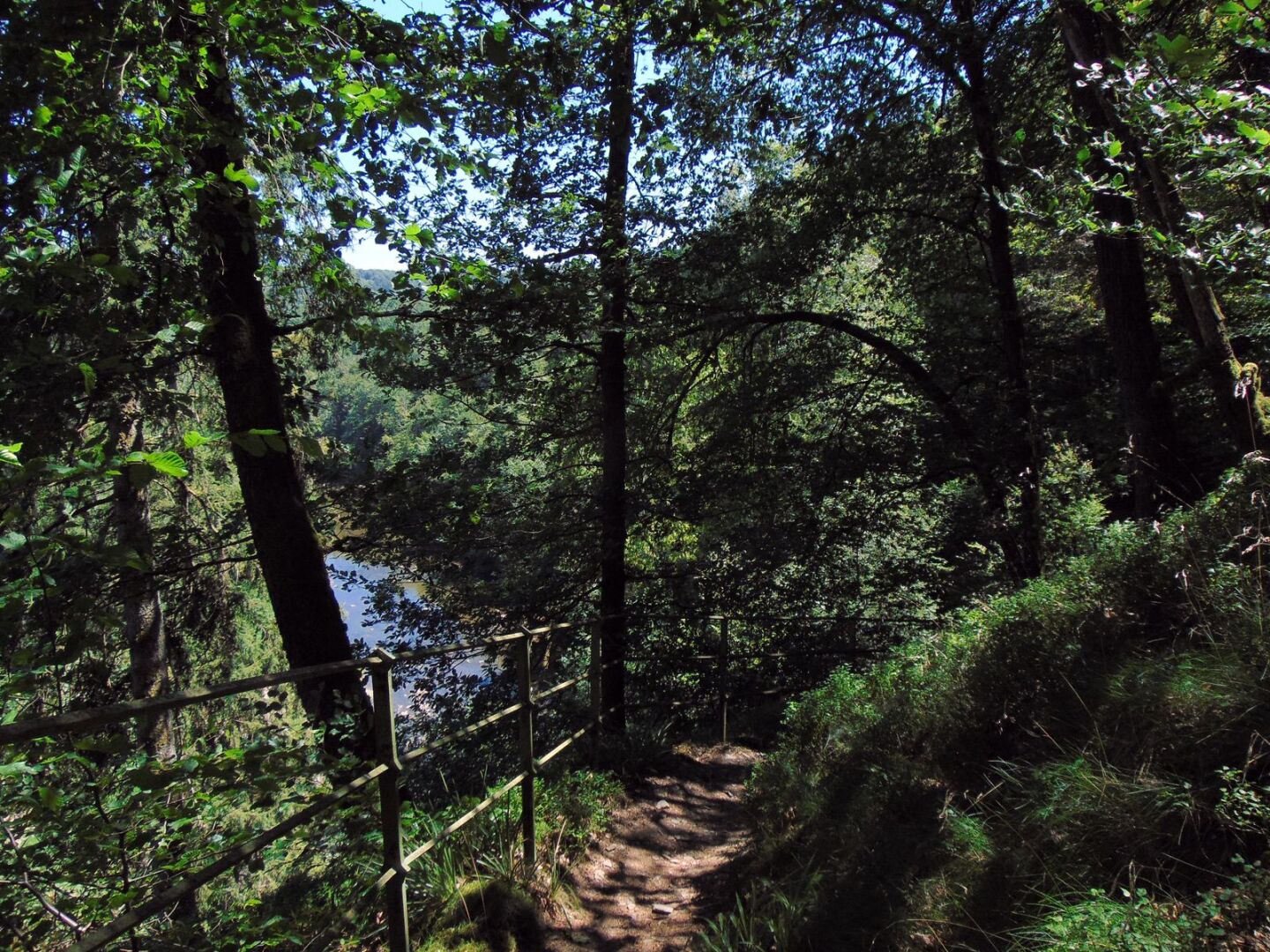 Montée dans les bois (vue à l'envers)