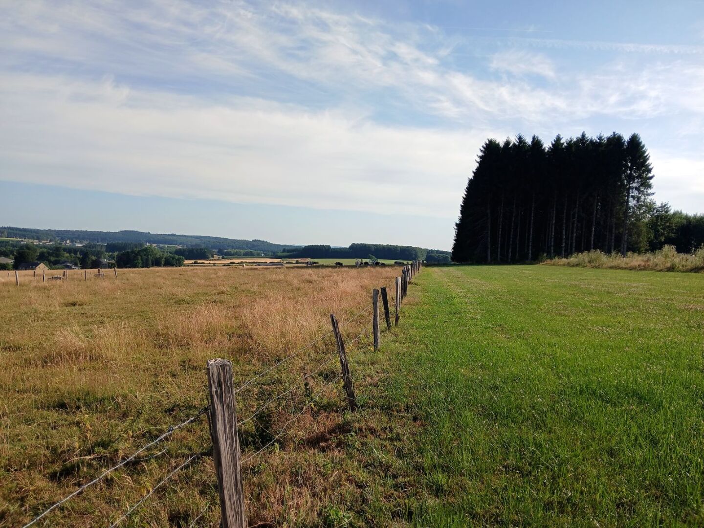 Paysage ardennais