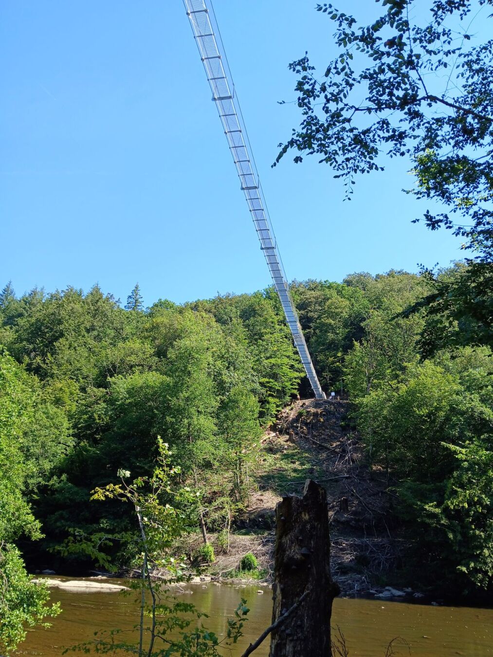 La passerelle vue d'en bas