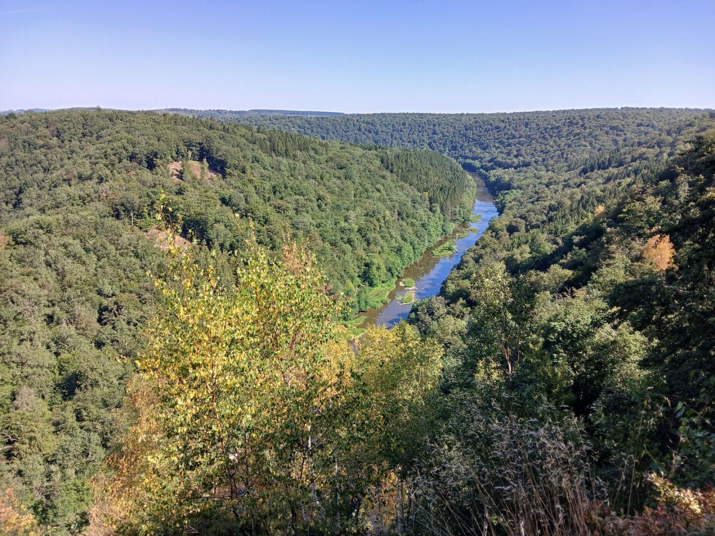 Point de vue de la roche au chat