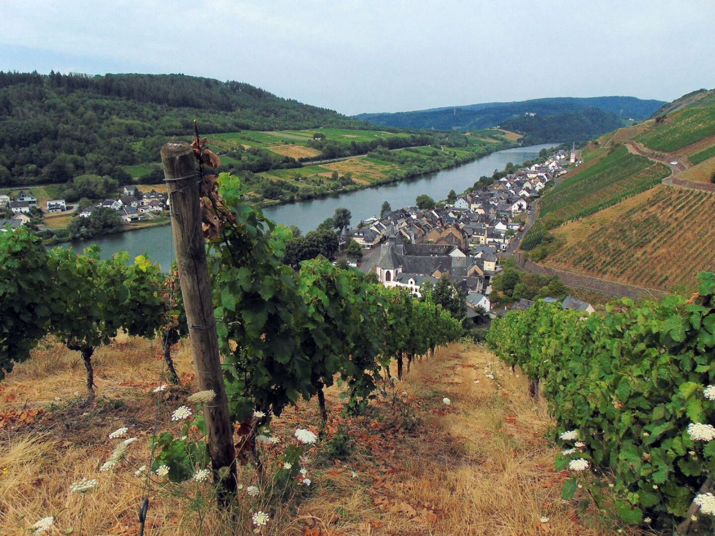 Vue sur le village de Merl
