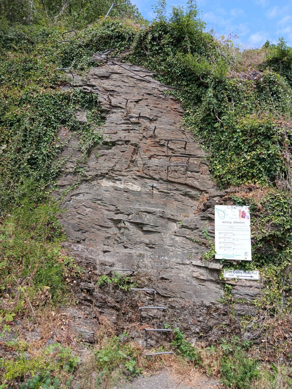 Arrivée de la première section