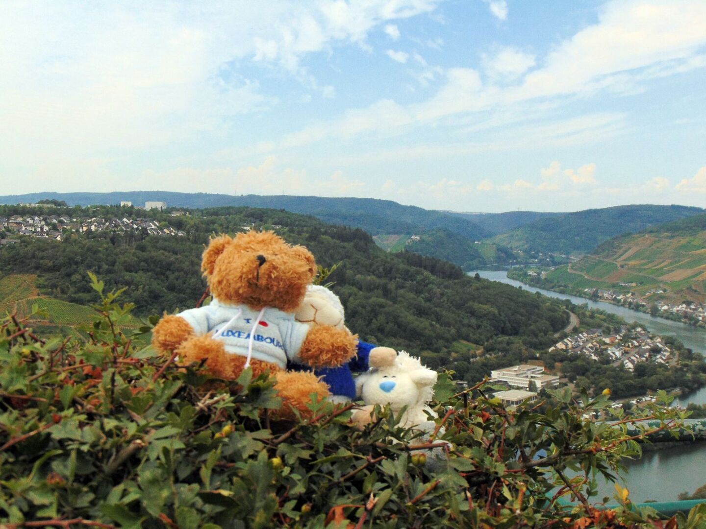 Des peluches sur un buisson avec un point de vue sur la Moselle
