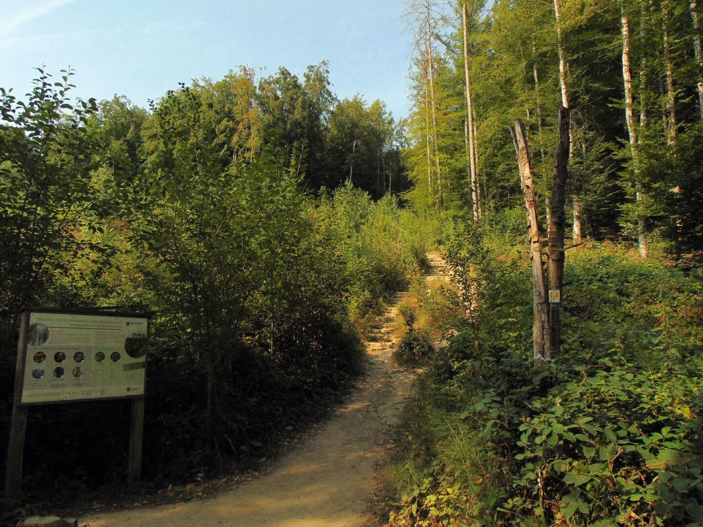 Un sentier et un escalier qui permet de réaliser la première ascension de la balade