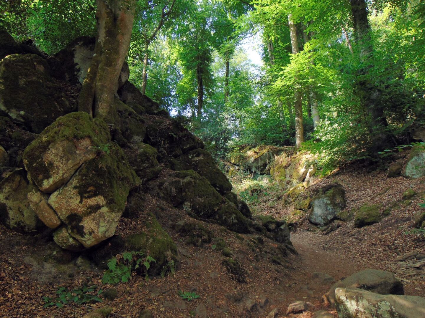 sentier à travers les formations rocheuses