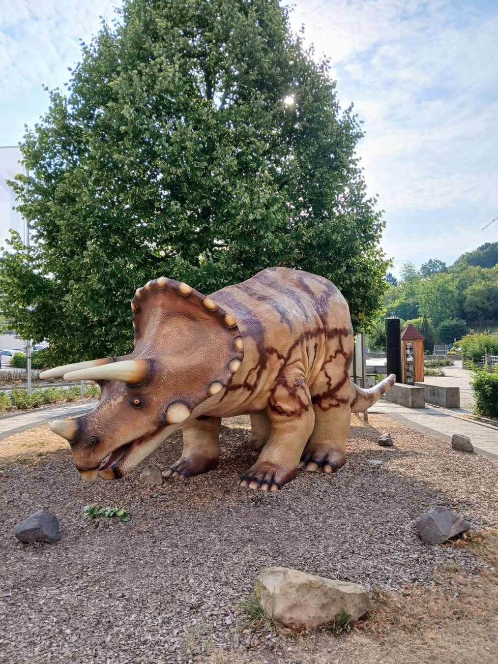 Un tricératops factice sur un square dans le centre d'Irrel. A l'arrière plan, une boite à livres.