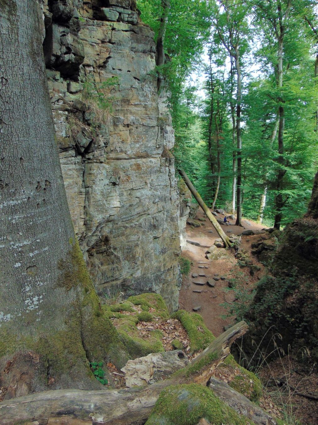 Vue sur les formations rocheuses depuis un promontoire.
